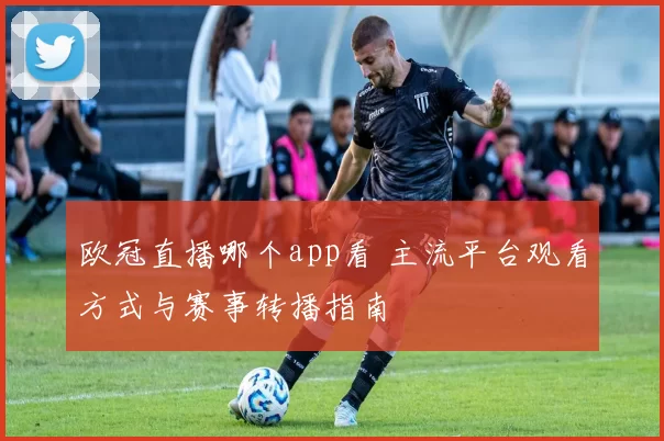 欧冠直播哪个app看 主流平台观看方式与赛事转播指南
