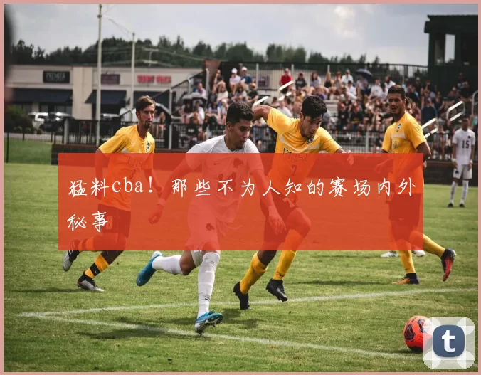 猛料cba!那些不为人知的赛场内外秘事