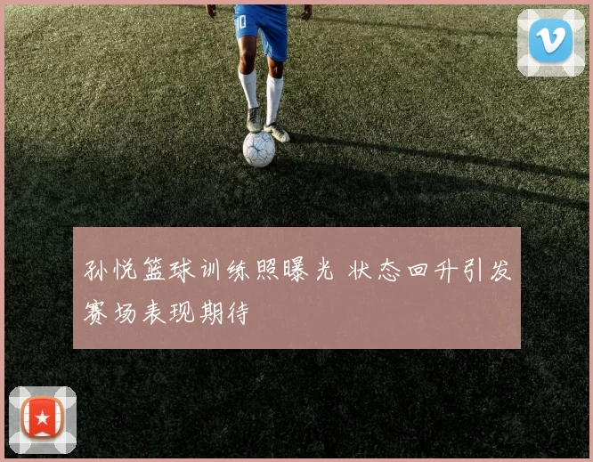 孙悦篮球训练照曝光 状态回升引发赛场表现期待