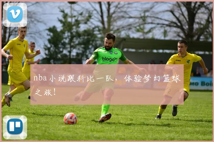 nba小说跟科比一队，体验梦幻篮球之旅！