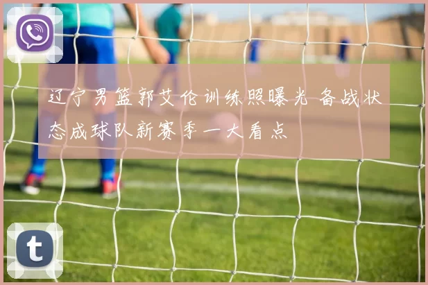 辽宁男篮郭艾伦训练照曝光 备战状态成球队新赛季一大看点