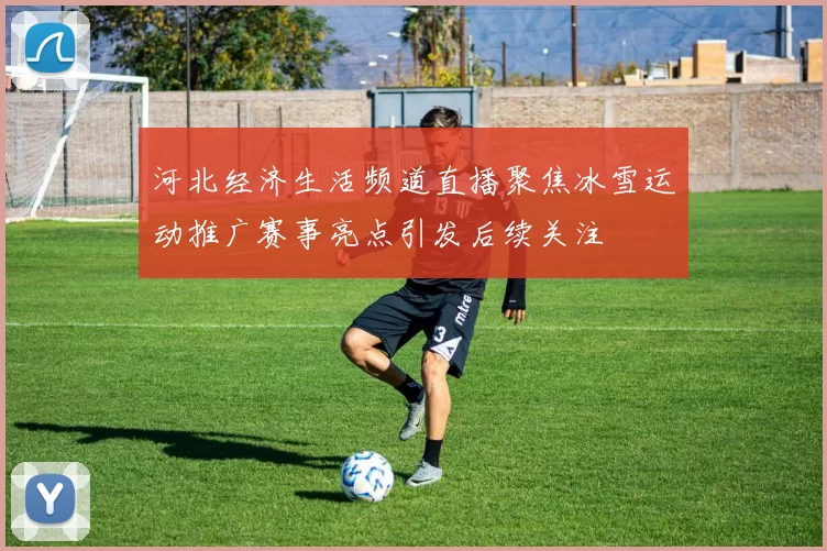 河北经济生活频道直播聚焦冰雪运动推广赛事亮点引发后续关注