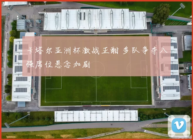 卡塔尔亚洲杯激战正酣 多队争夺八强席位悬念加剧