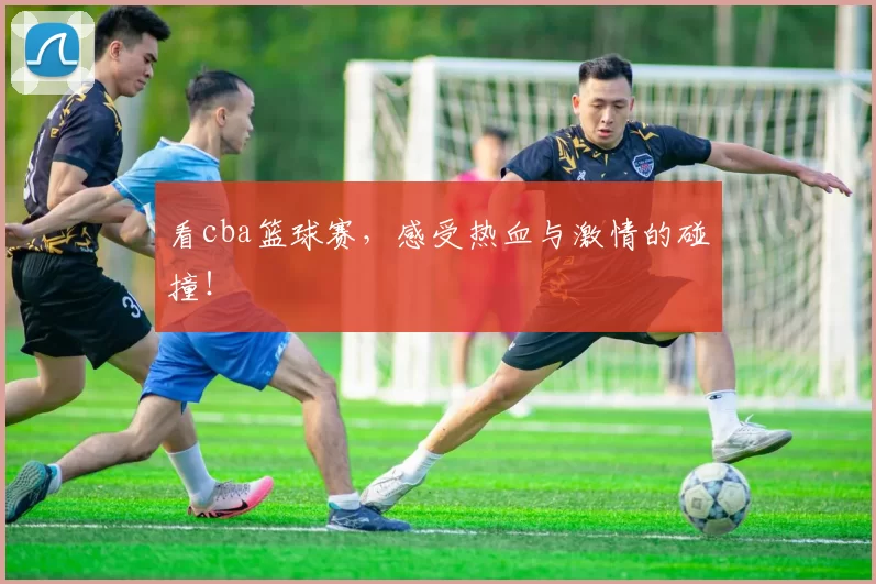 看cba篮球赛，感受热血与激情的碰撞！