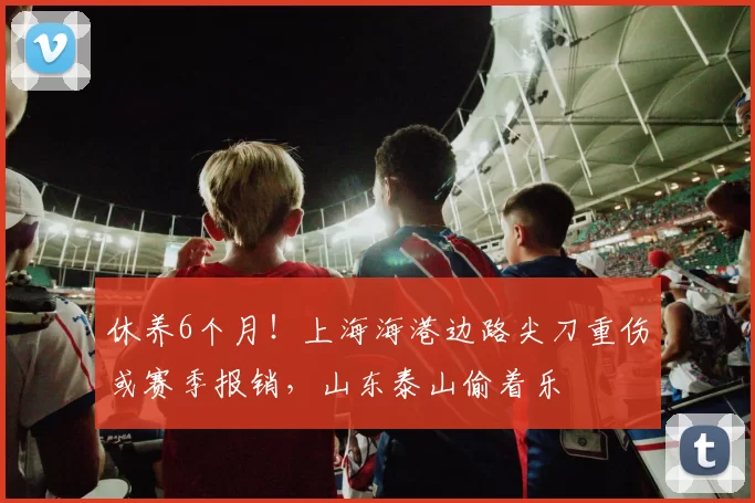 休养6个月!上海海港边路尖刀重伤或赛季报销,山东泰山偷着乐